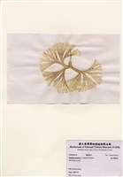 藏品(扇形囊膜藻)的圖片